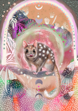 Load image into Gallery viewer, &quot;Eastern Quoll&quot; print
